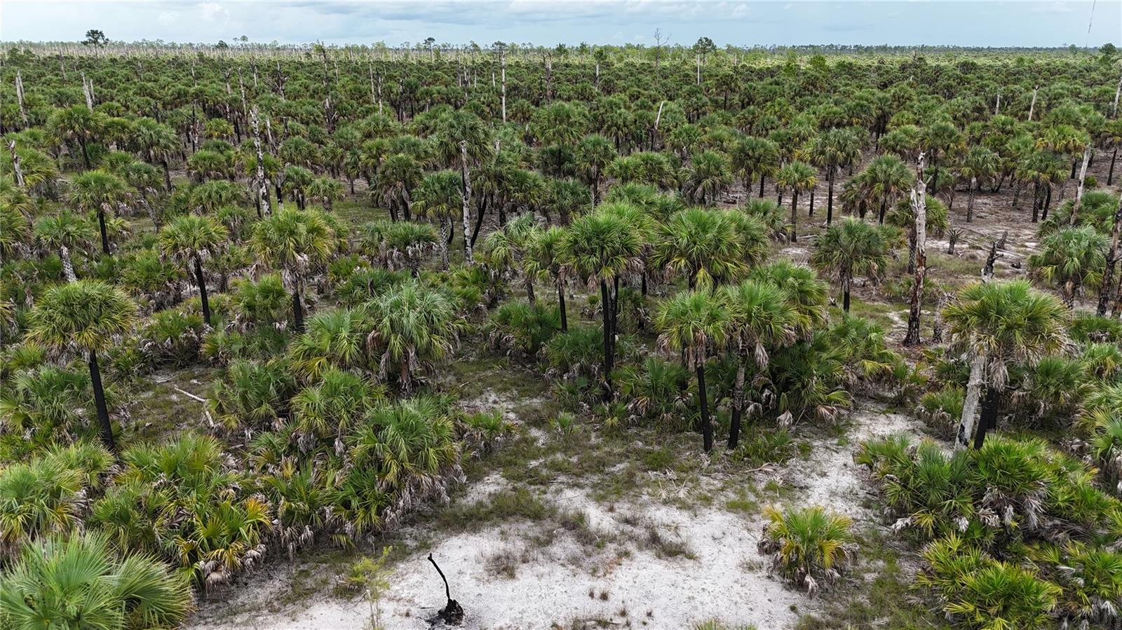 N/A, NAPLES, FL, 34117