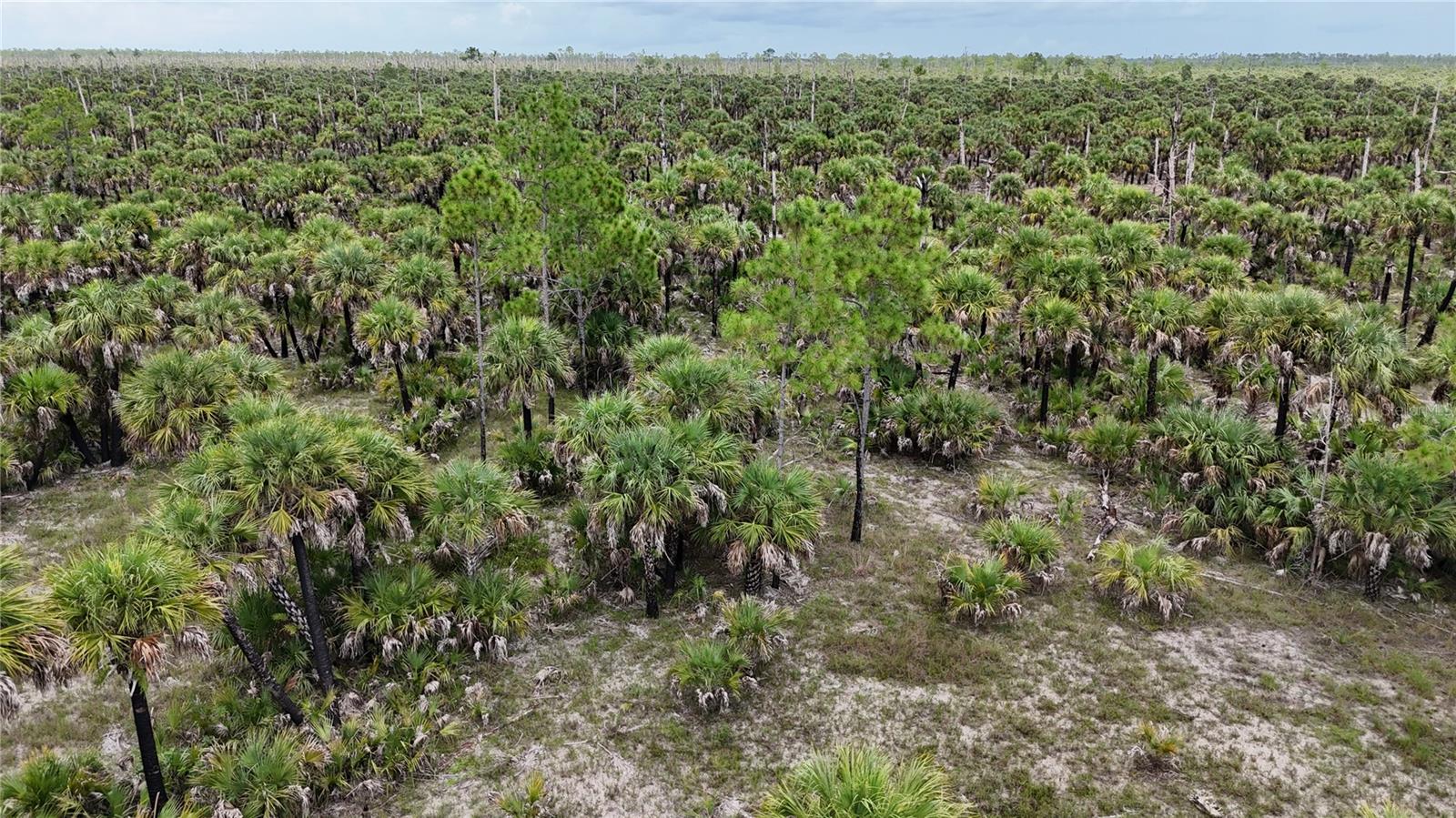 N/A, NAPLES, FL, 34117