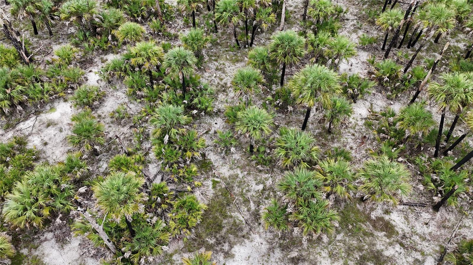 N/A, NAPLES, FL, 34117