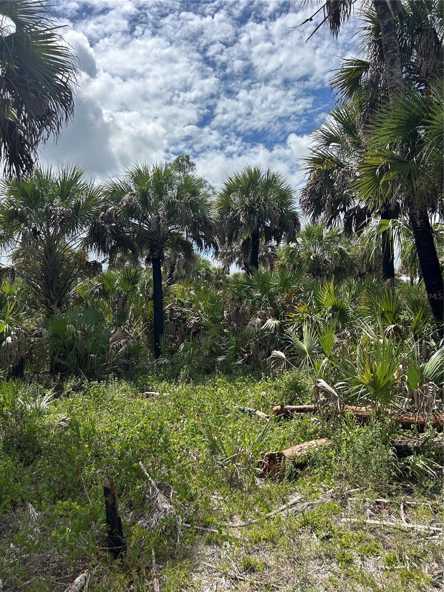 N/A, NAPLES, FL, 34117