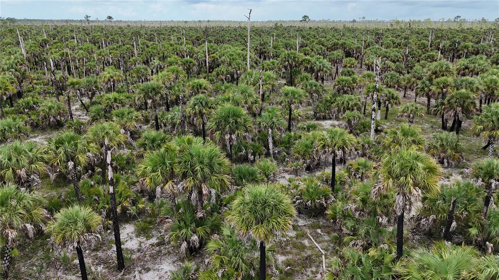 N/A, NAPLES, FL, 34117