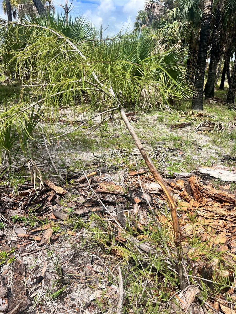 N/A, NAPLES, FL, 34117