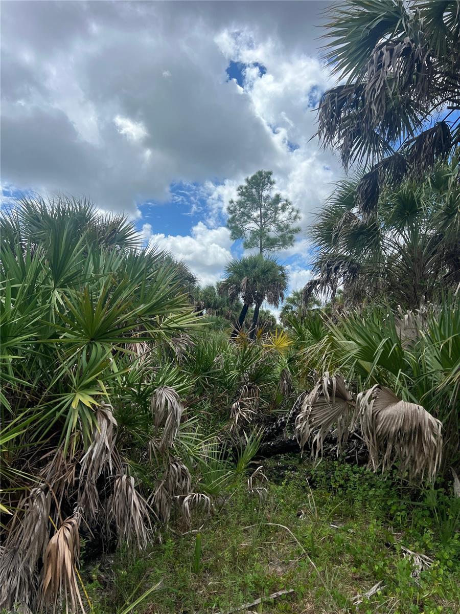 N/A, NAPLES, FL, 34117