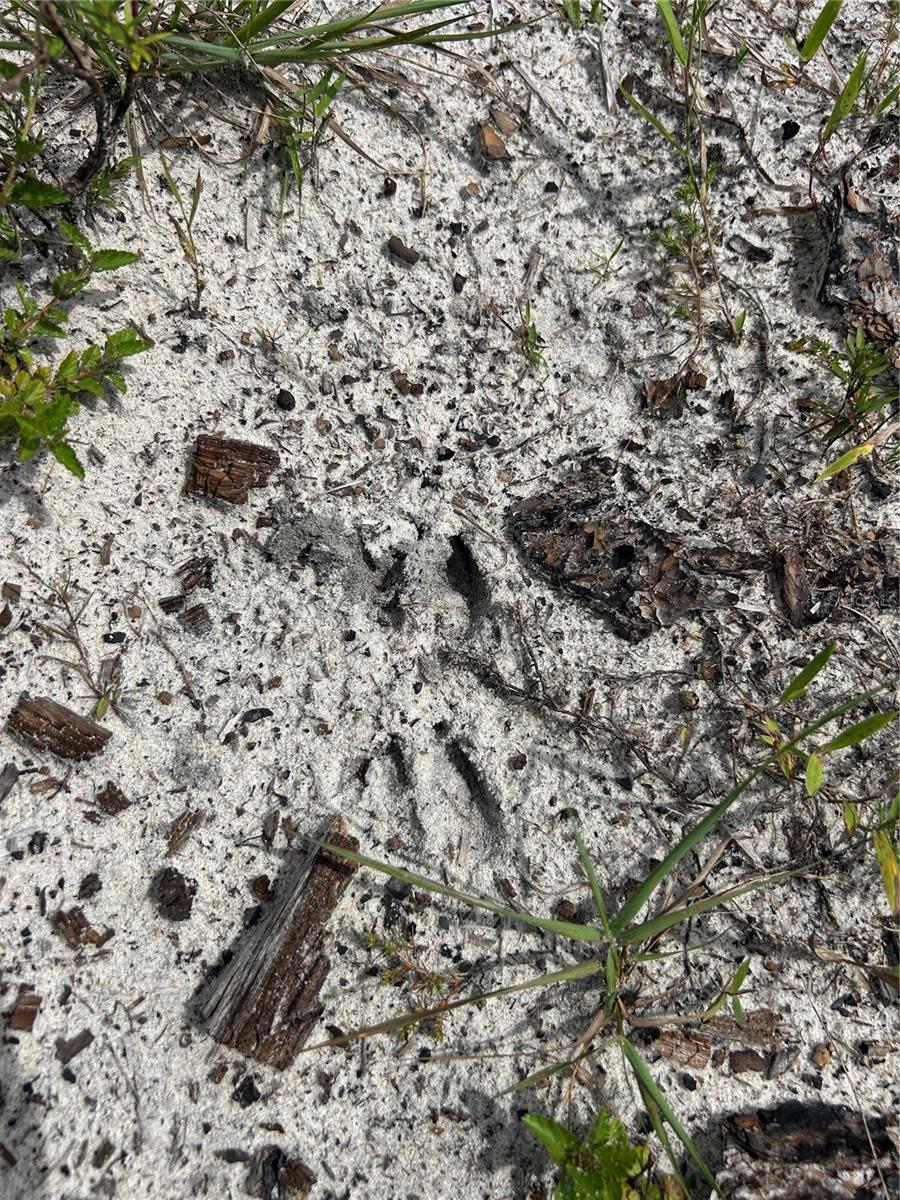 N/A, NAPLES, FL, 34117