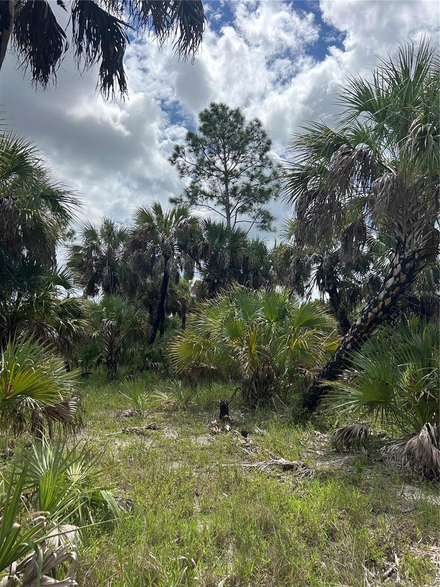 N/A, NAPLES, FL, 34117