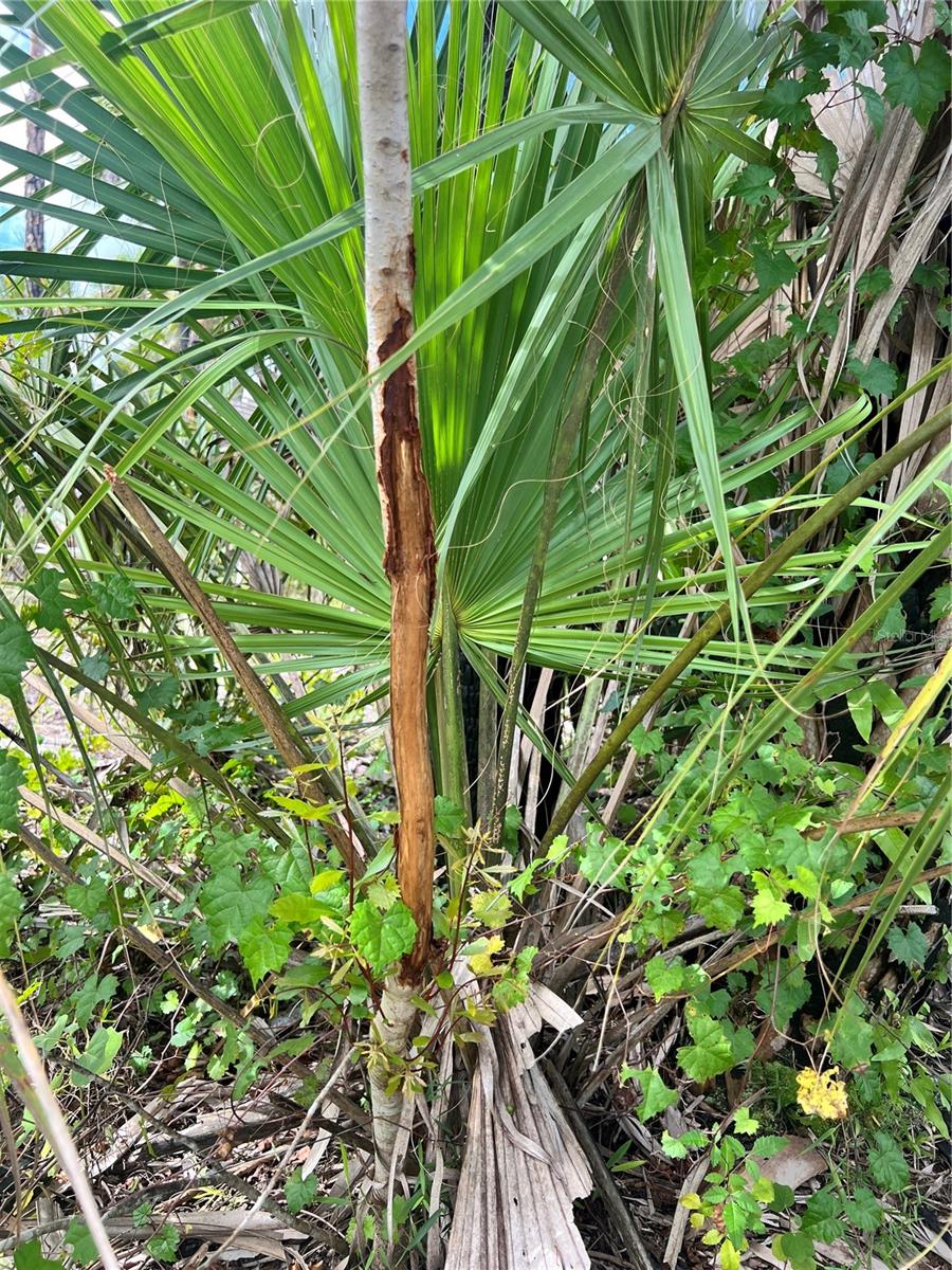 N/A, NAPLES, FL, 34117