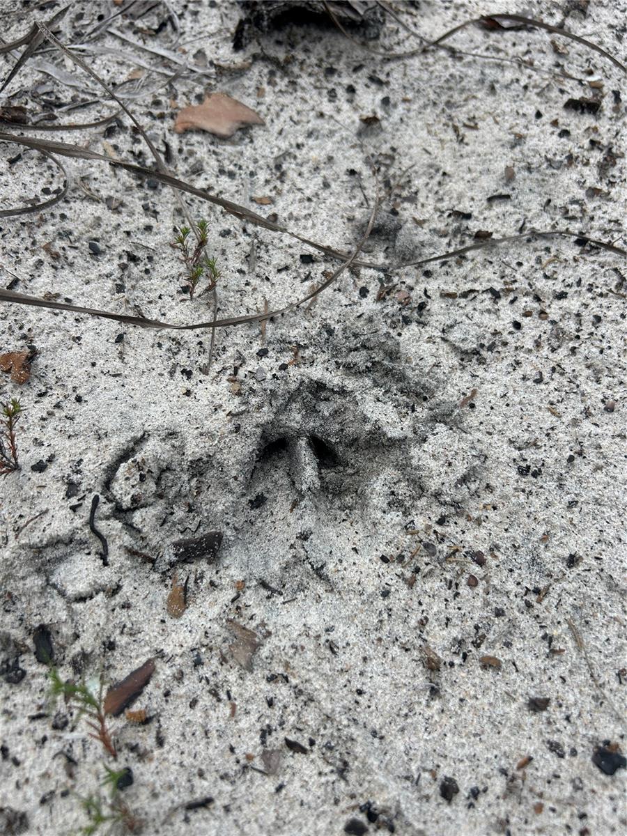 N/A, NAPLES, FL, 34117