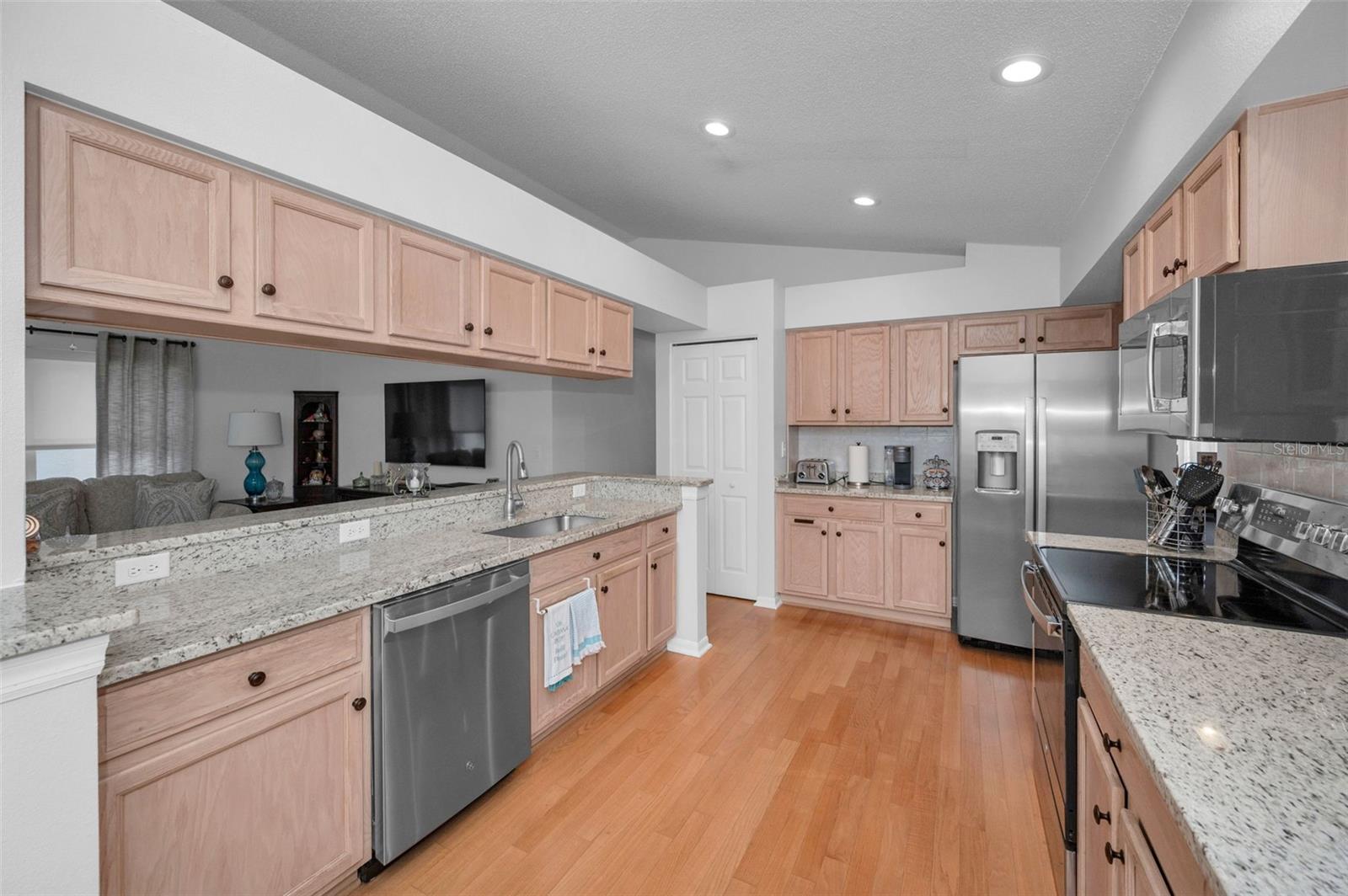 1311 EVENINGSIDE CT, TRINITY, FL, 34655