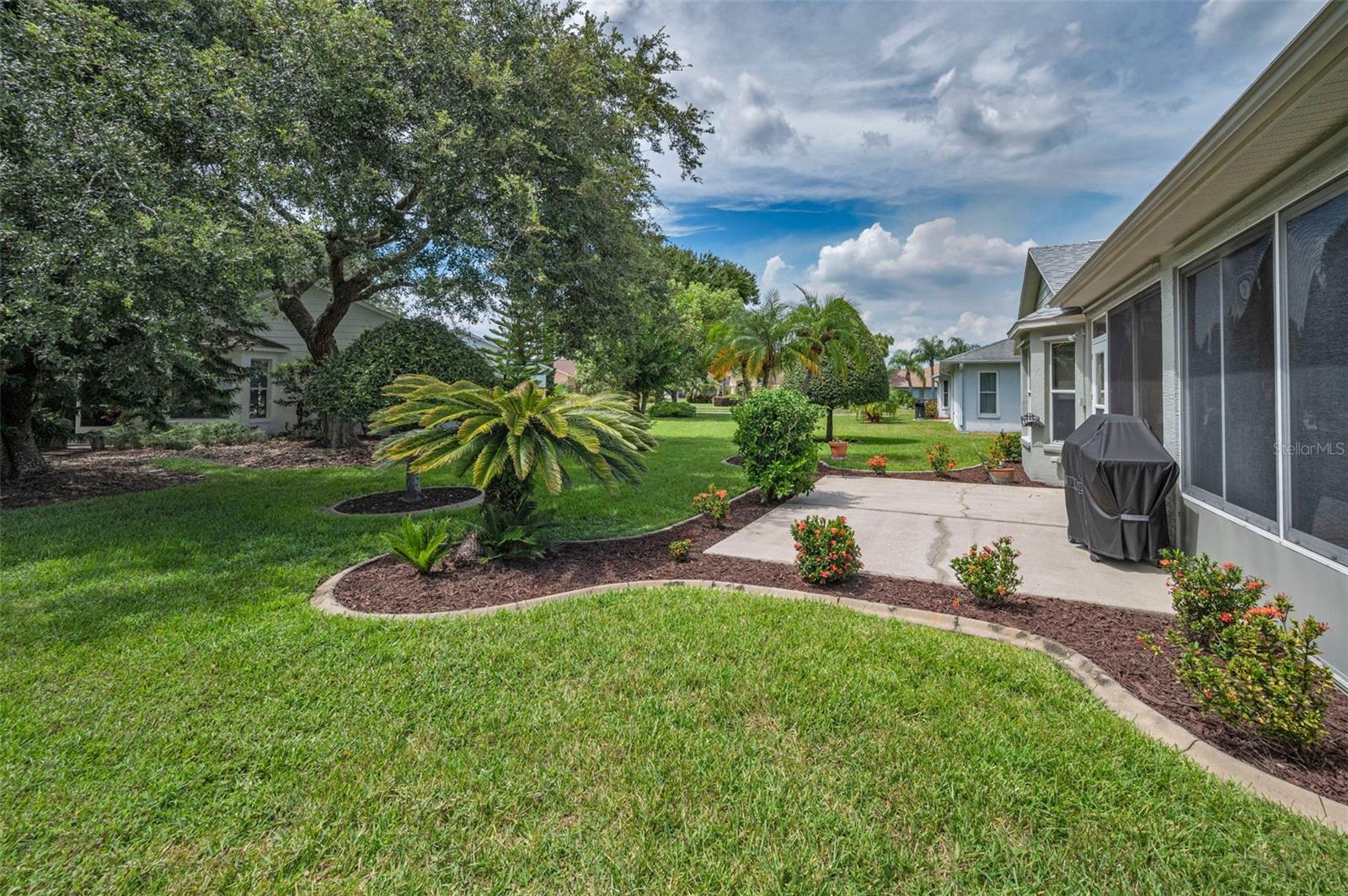 1311 EVENINGSIDE CT, TRINITY, FL, 34655