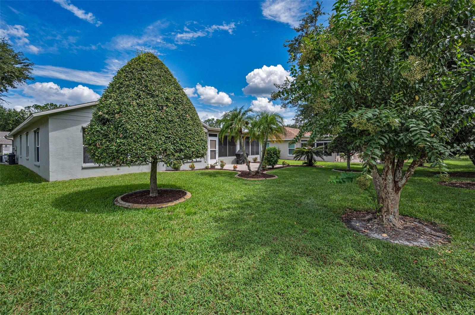 1311 EVENINGSIDE CT, TRINITY, FL, 34655