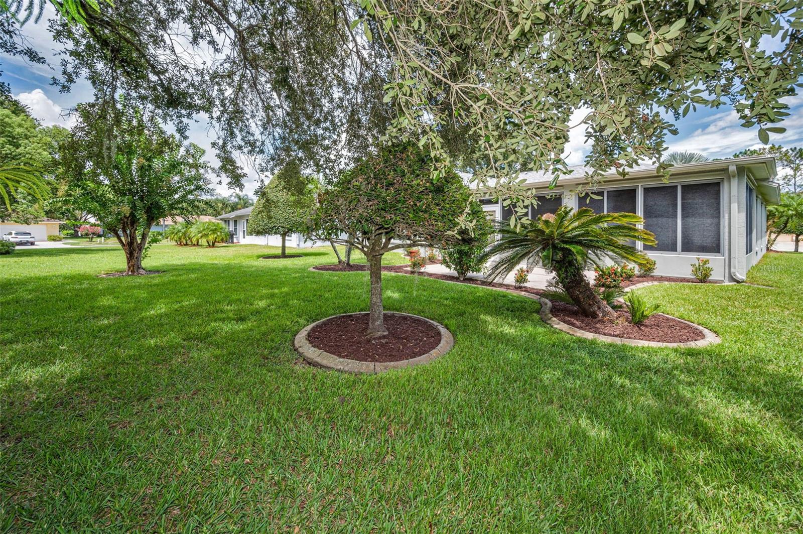 1311 EVENINGSIDE CT, TRINITY, FL, 34655