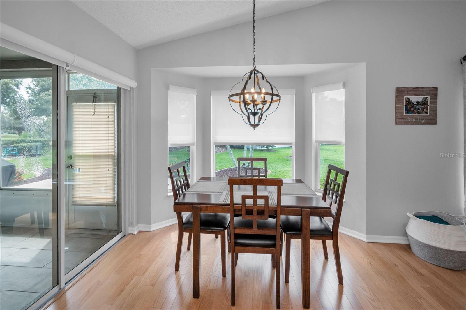 1311 EVENINGSIDE CT, TRINITY, FL, 34655