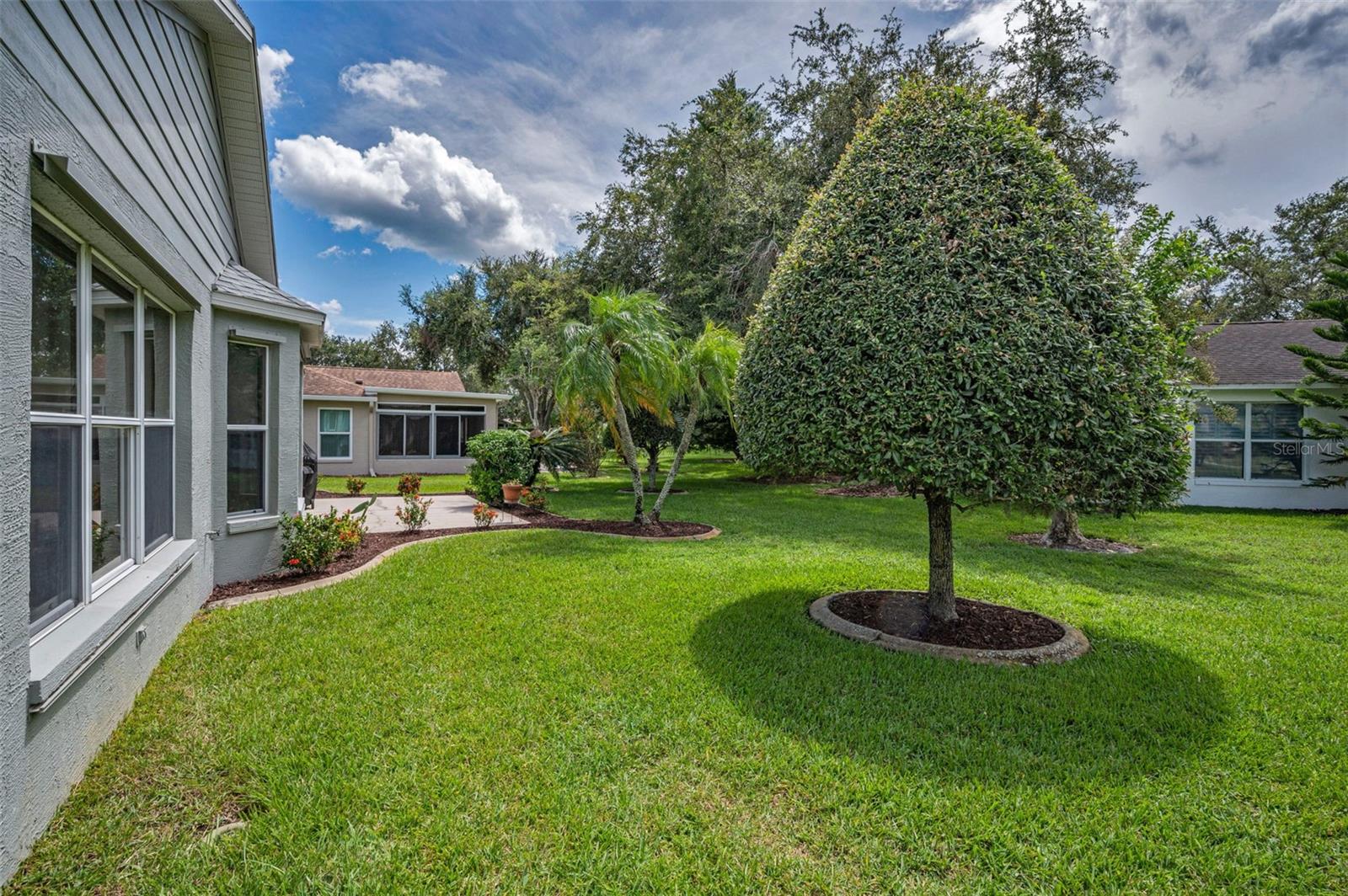 1311 EVENINGSIDE CT, TRINITY, FL, 34655