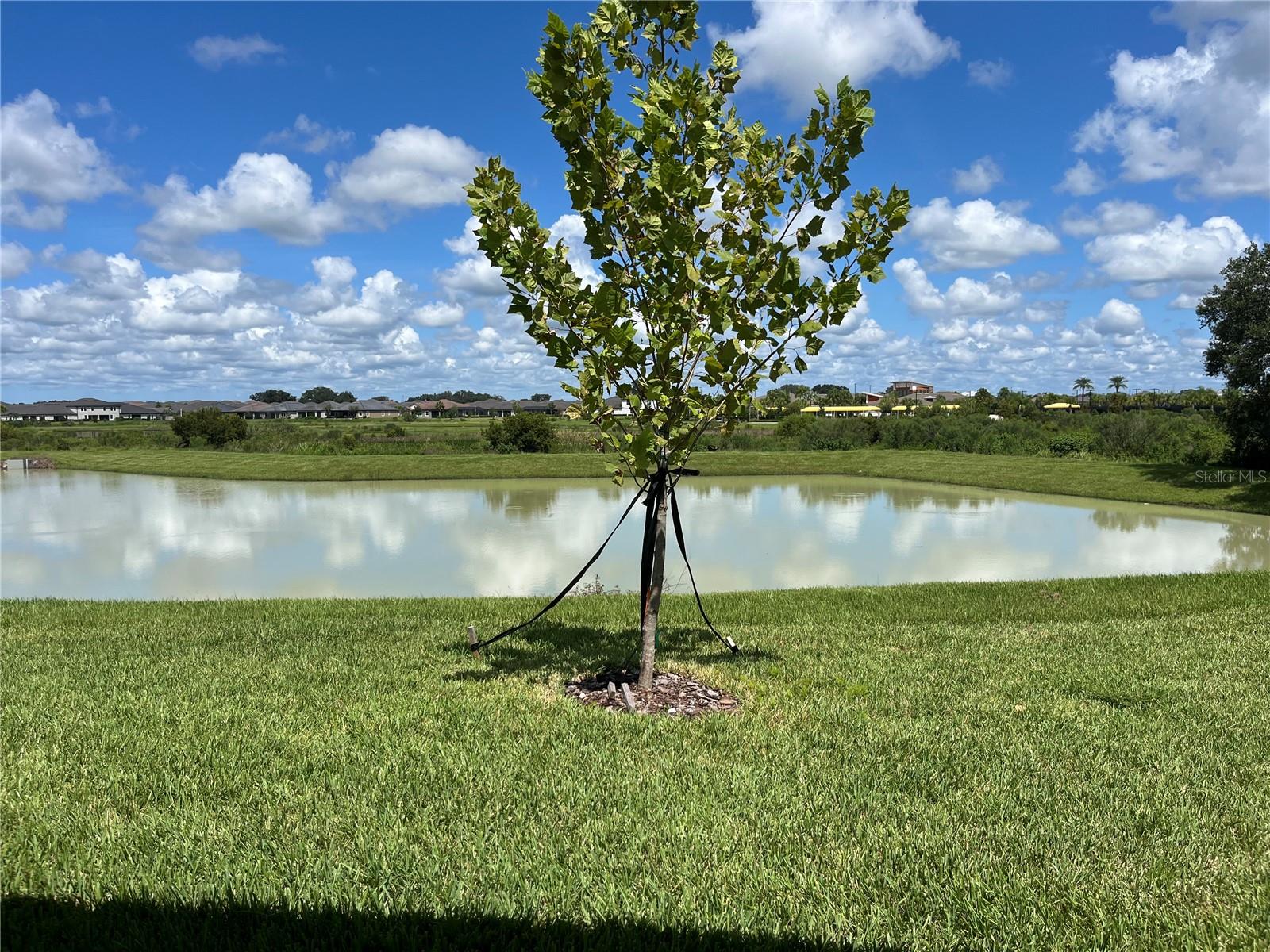 32126 CANNON RUSH DR, SAN ANTONIO, FL, 33576