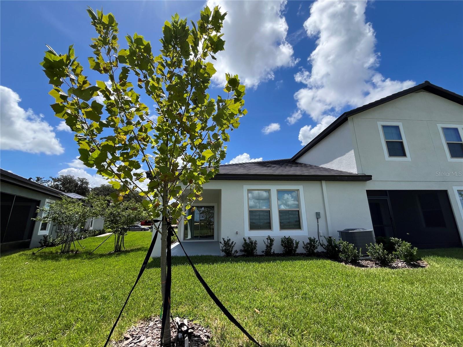 32126 CANNON RUSH DR, SAN ANTONIO, FL, 33576