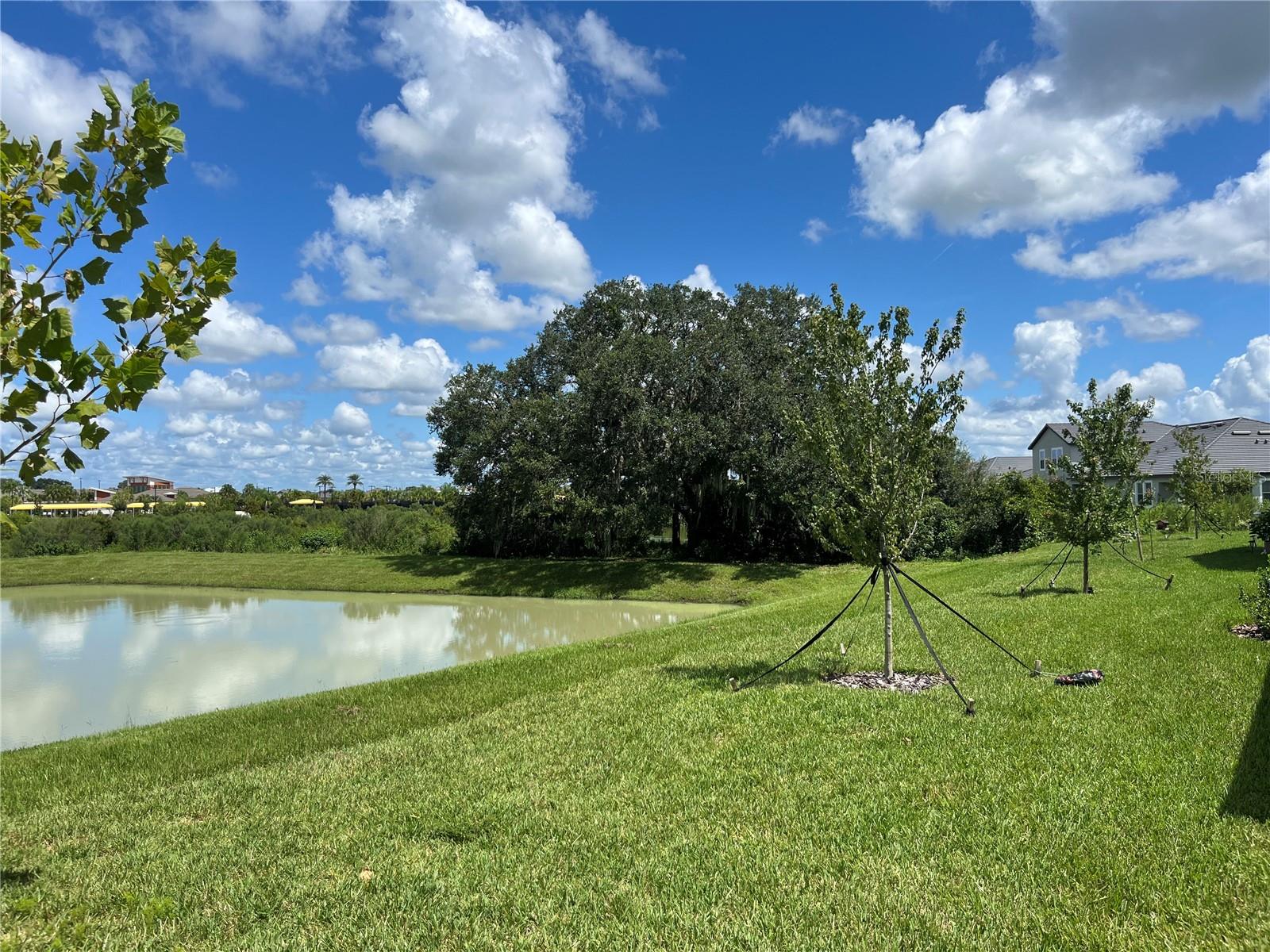 32126 CANNON RUSH DR, SAN ANTONIO, FL, 33576