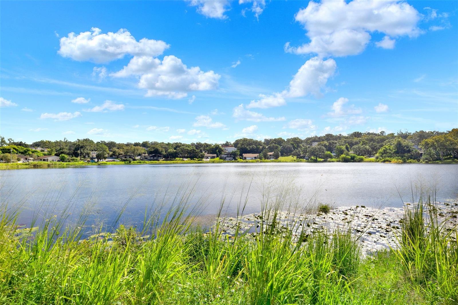 75 SUNNYSIDE DR #75, CLERMONT, FL, 34711