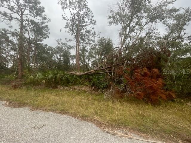 17051 CARSON AVE, PORT CHARLOTTE, FL, 33948