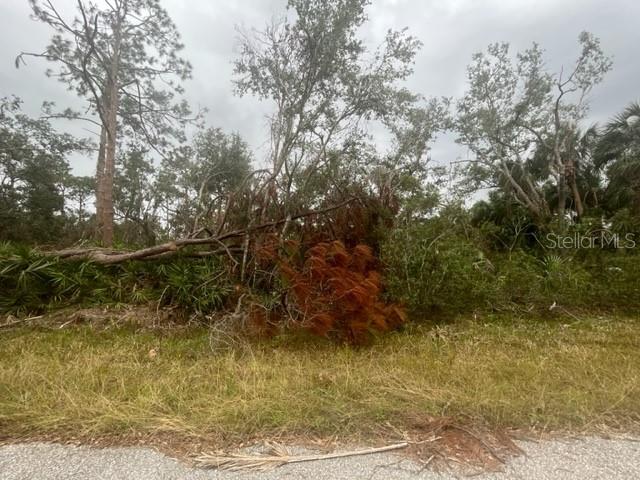 17051 CARSON AVE, PORT CHARLOTTE, FL, 33948