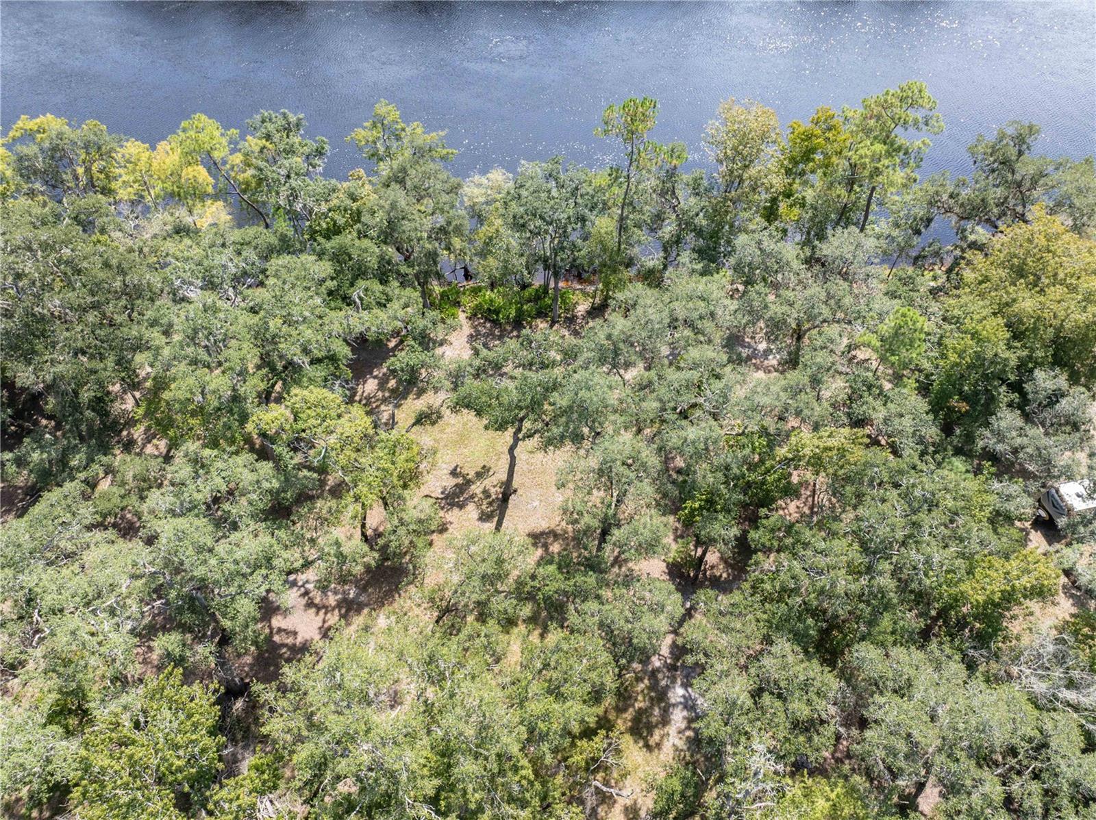 1357 NE 930TH ST, OLD TOWN, FL, 32680