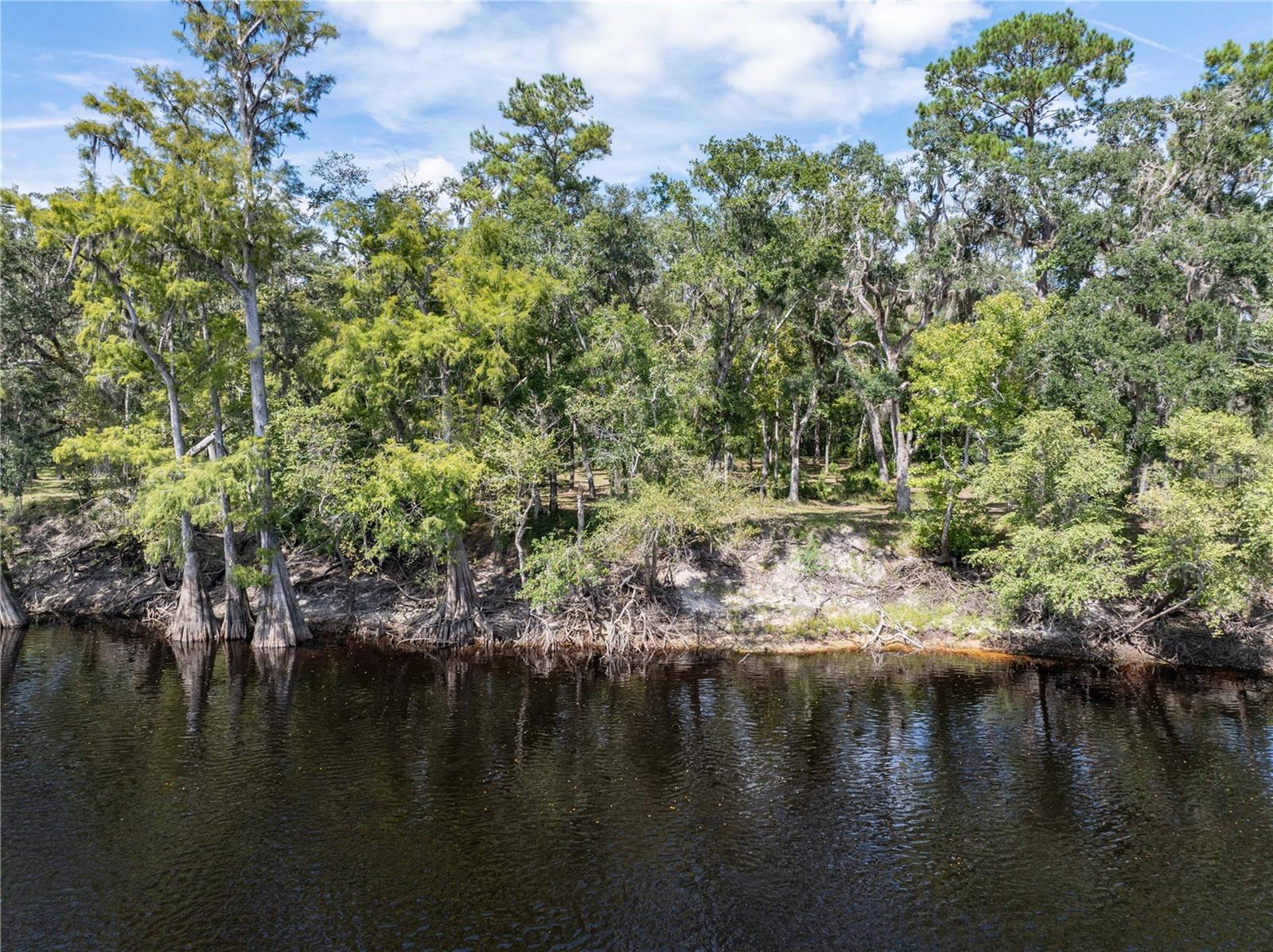 1357 NE 930TH ST, OLD TOWN, FL, 32680