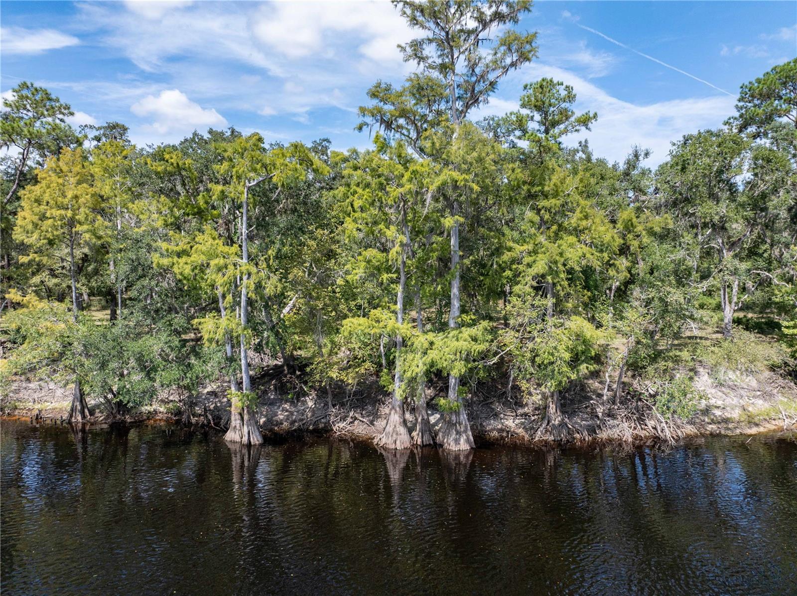 1357 NE 930TH ST, OLD TOWN, FL, 32680