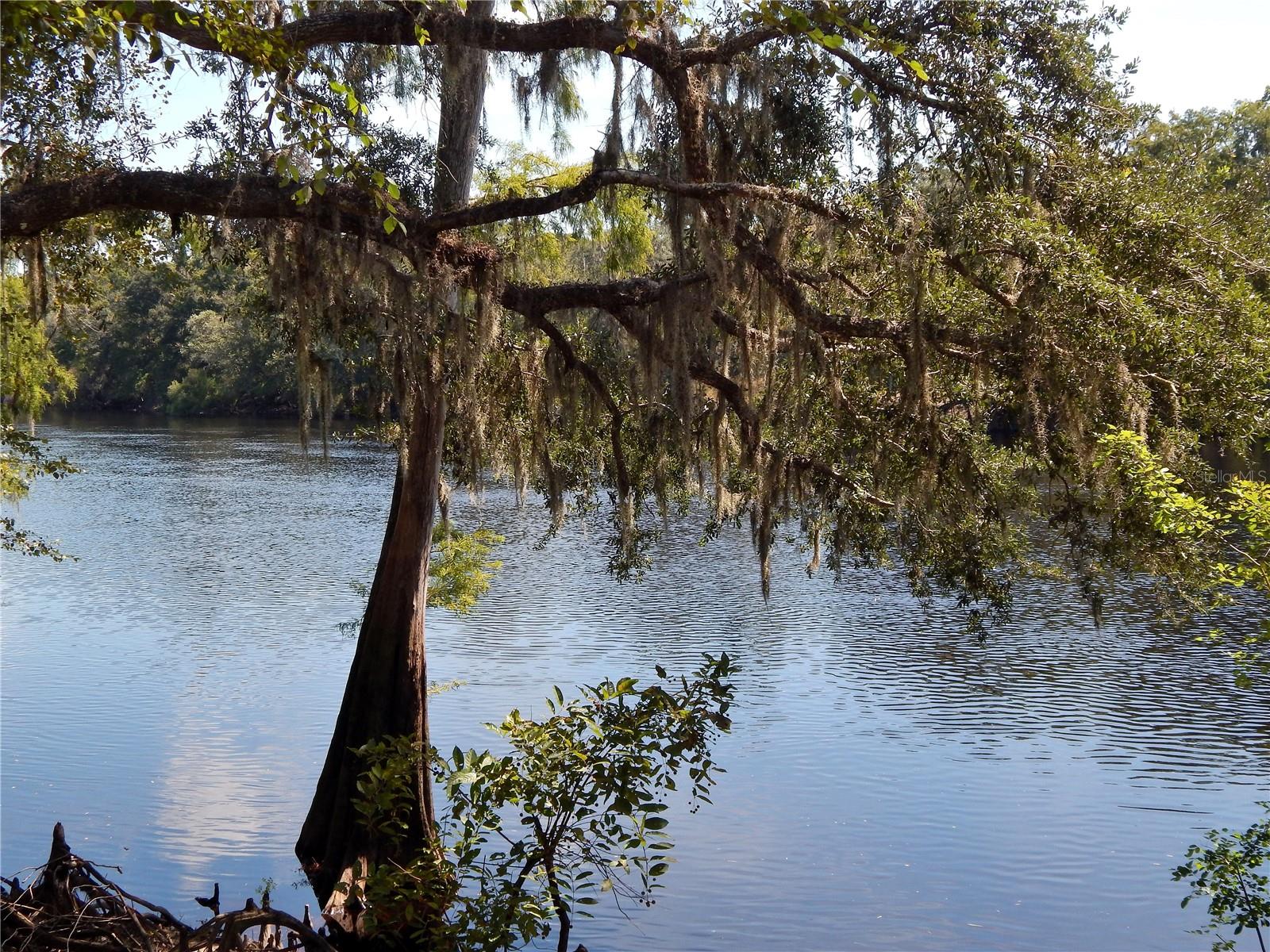 1357 NE 930TH ST, OLD TOWN, FL, 32680