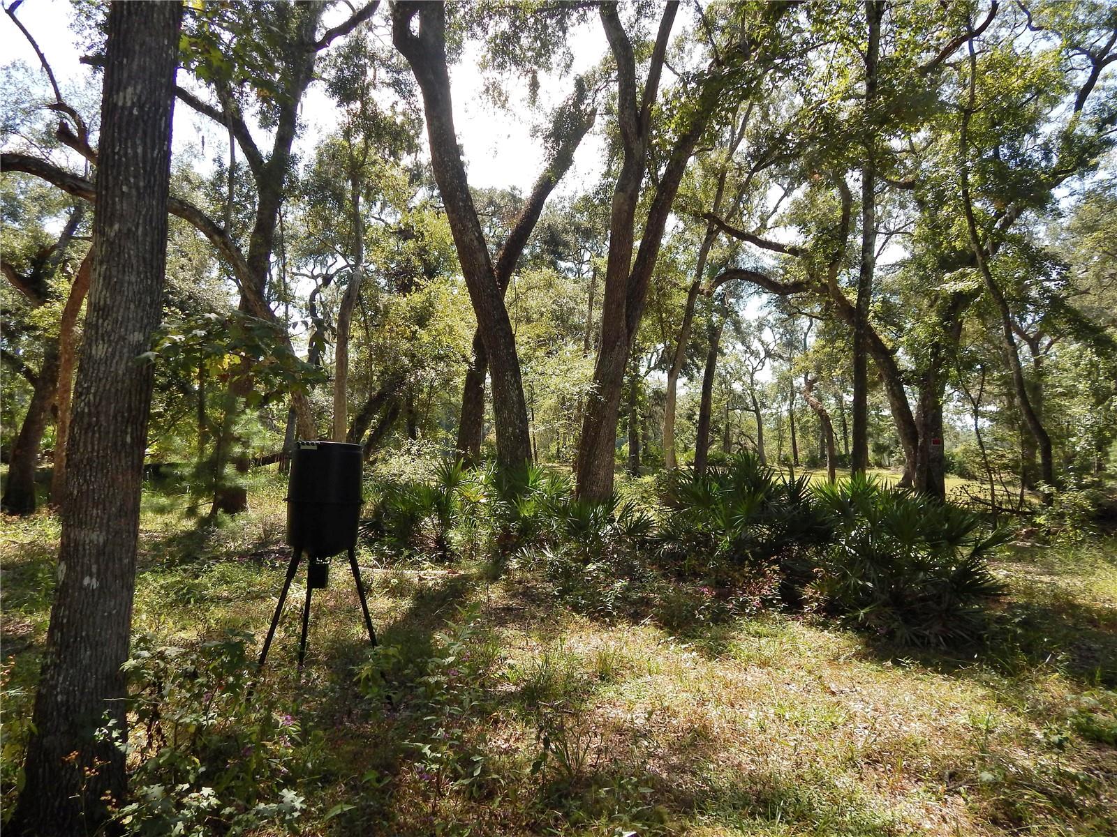 1357 NE 930TH ST, OLD TOWN, FL, 32680