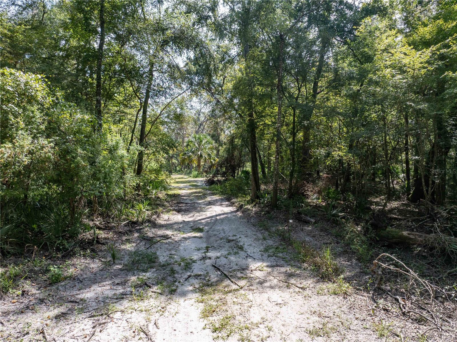 1357 NE 930TH ST, OLD TOWN, FL, 32680