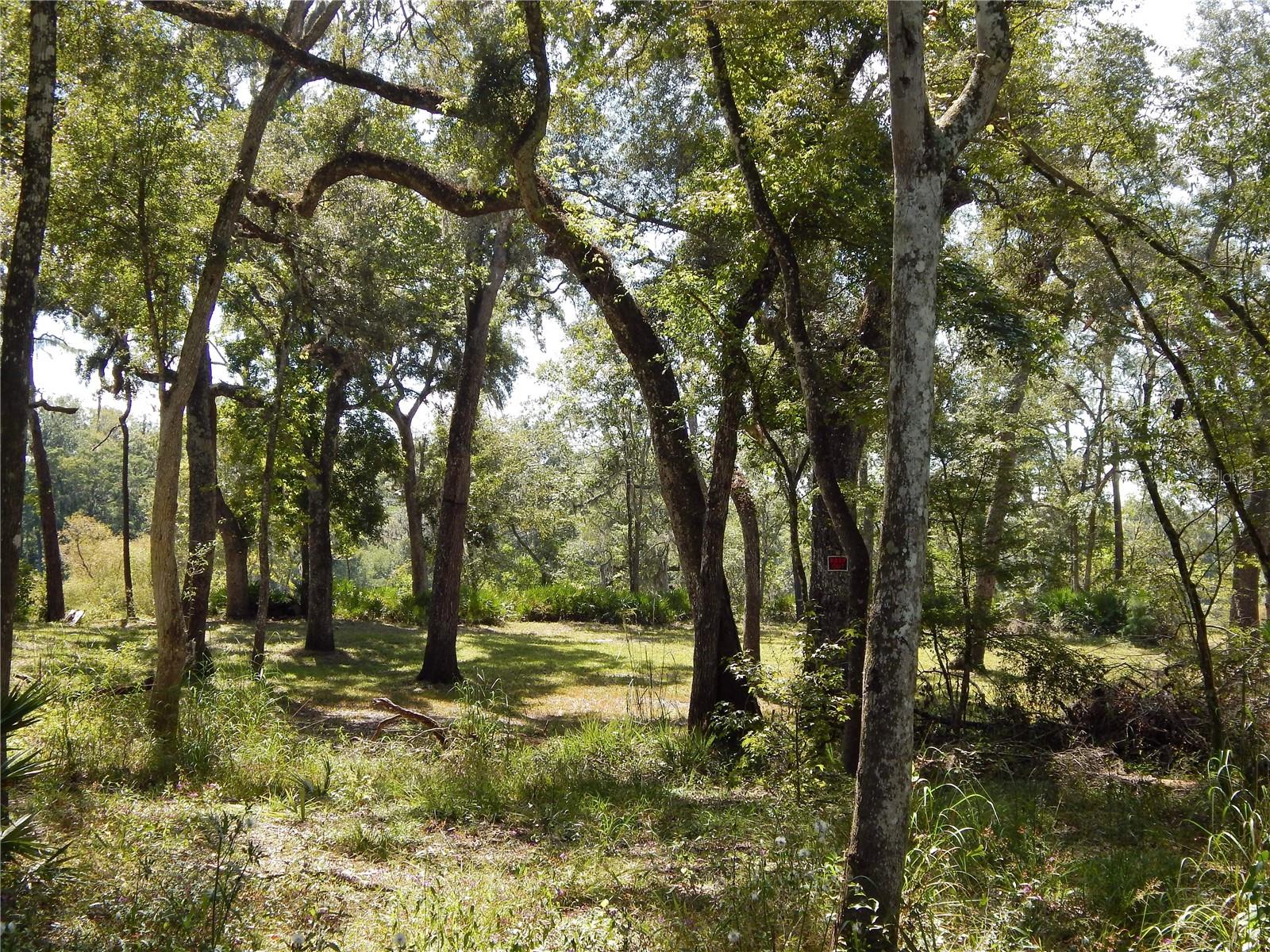 1357 NE 930TH ST, OLD TOWN, FL, 32680