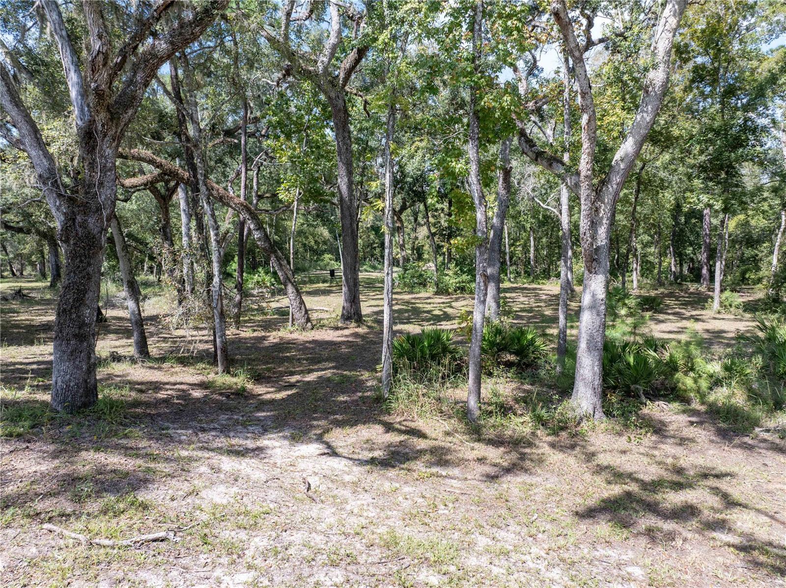 1357 NE 930TH ST, OLD TOWN, FL, 32680