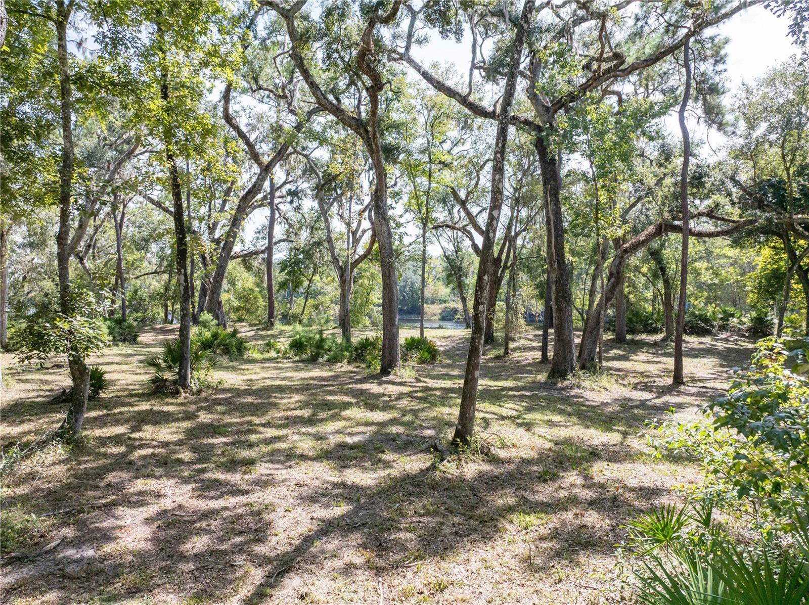 1357 NE 930TH ST, OLD TOWN, FL, 32680