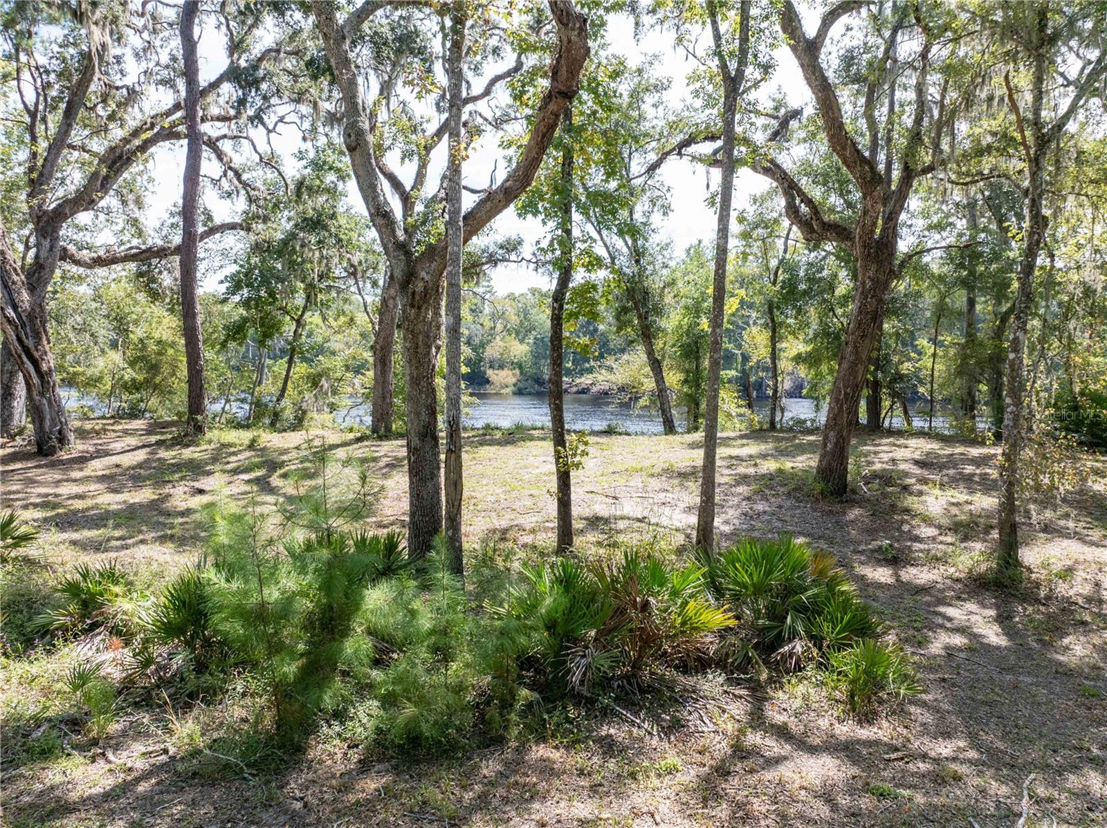 1357 NE 930TH ST, OLD TOWN, FL, 32680