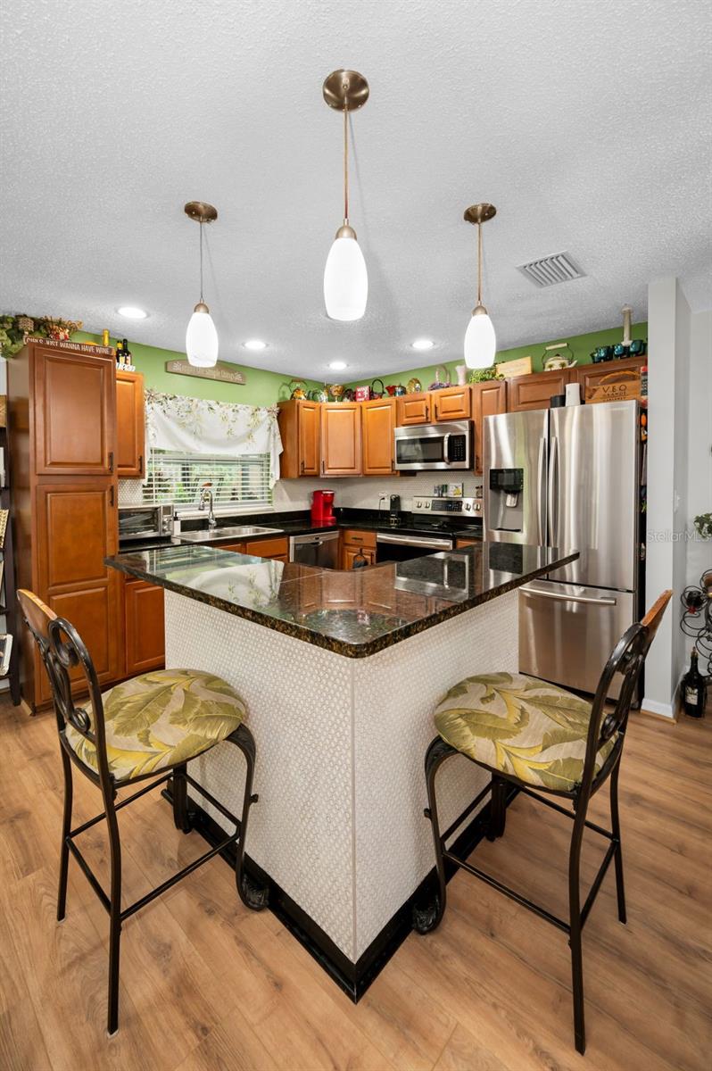 3233 CARRIAGE DR, PALM HARBOR, FL, 34684