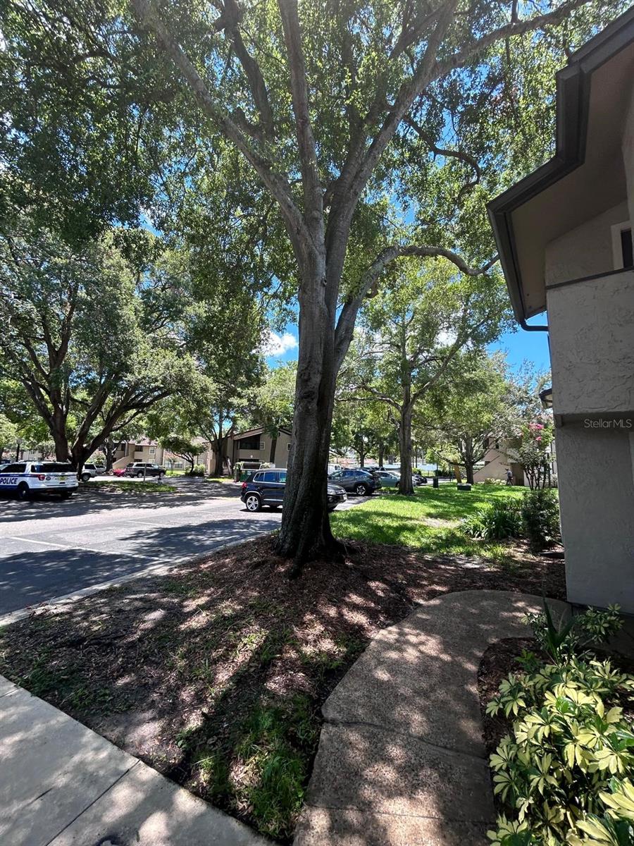 2948 ANTIQUE OAKS CIR #94, WINTER PARK, FL, 32792