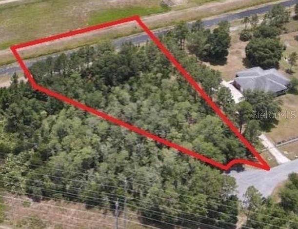 NUTMEG ST, ORLANDO, FL, 32833