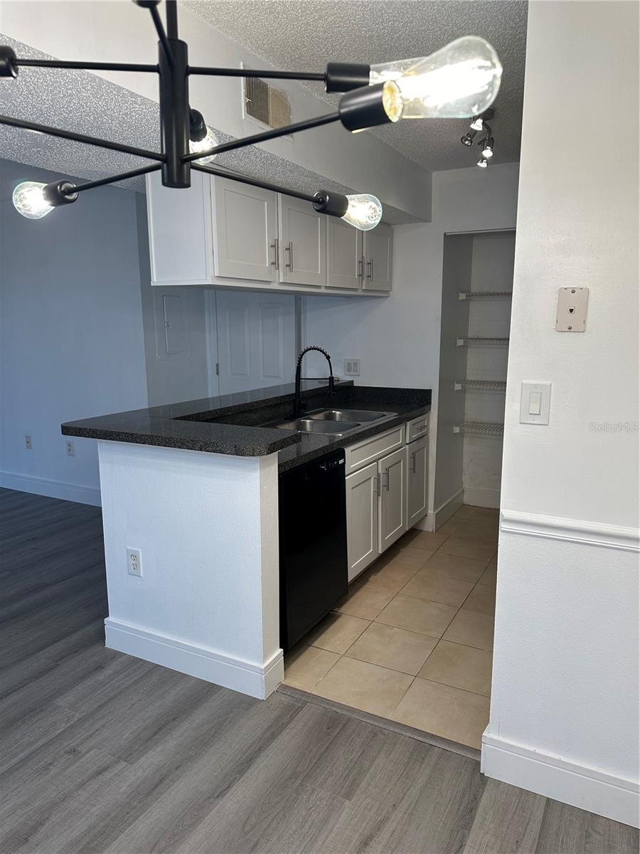 703 PARSONS LAKE PATH #106, BRANDON, FL, 33511