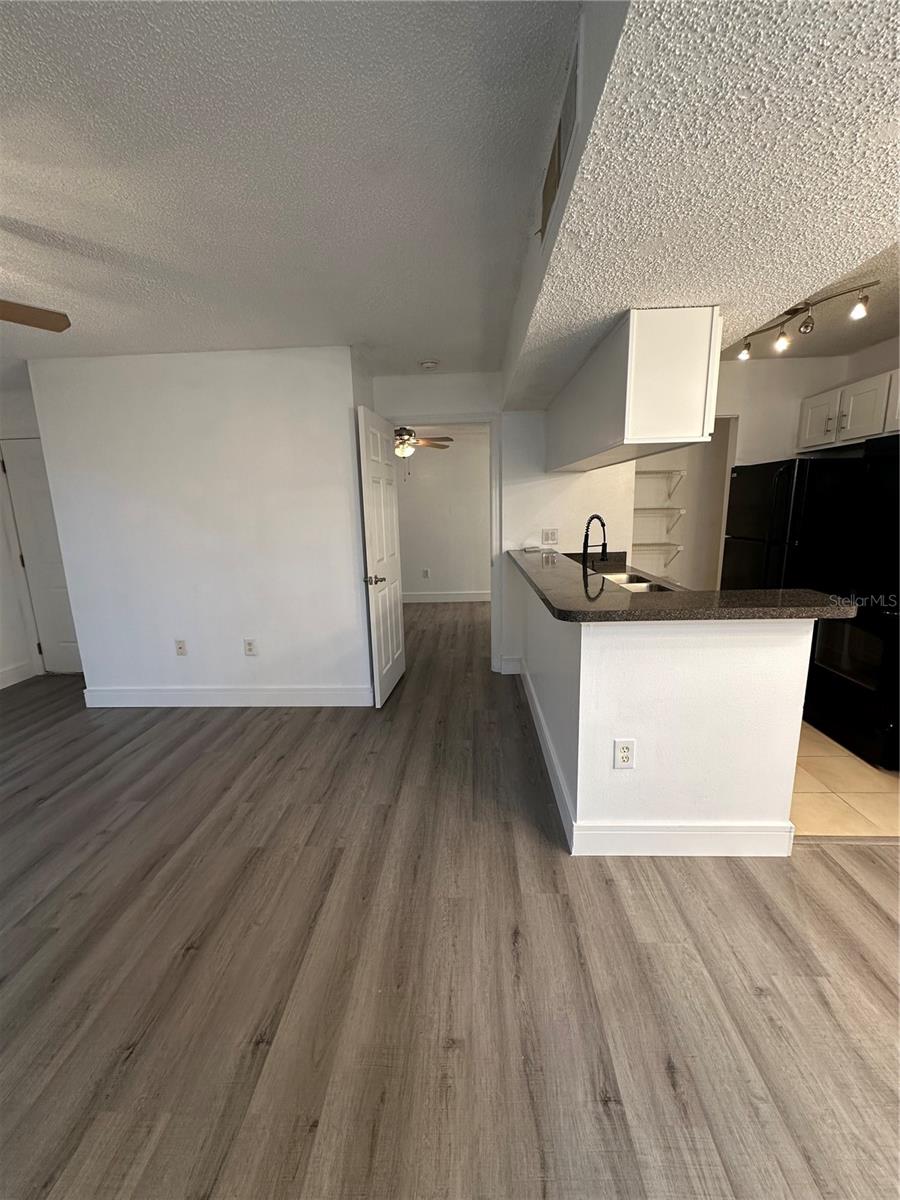 703 PARSONS LAKE PATH #106, BRANDON, FL, 33511