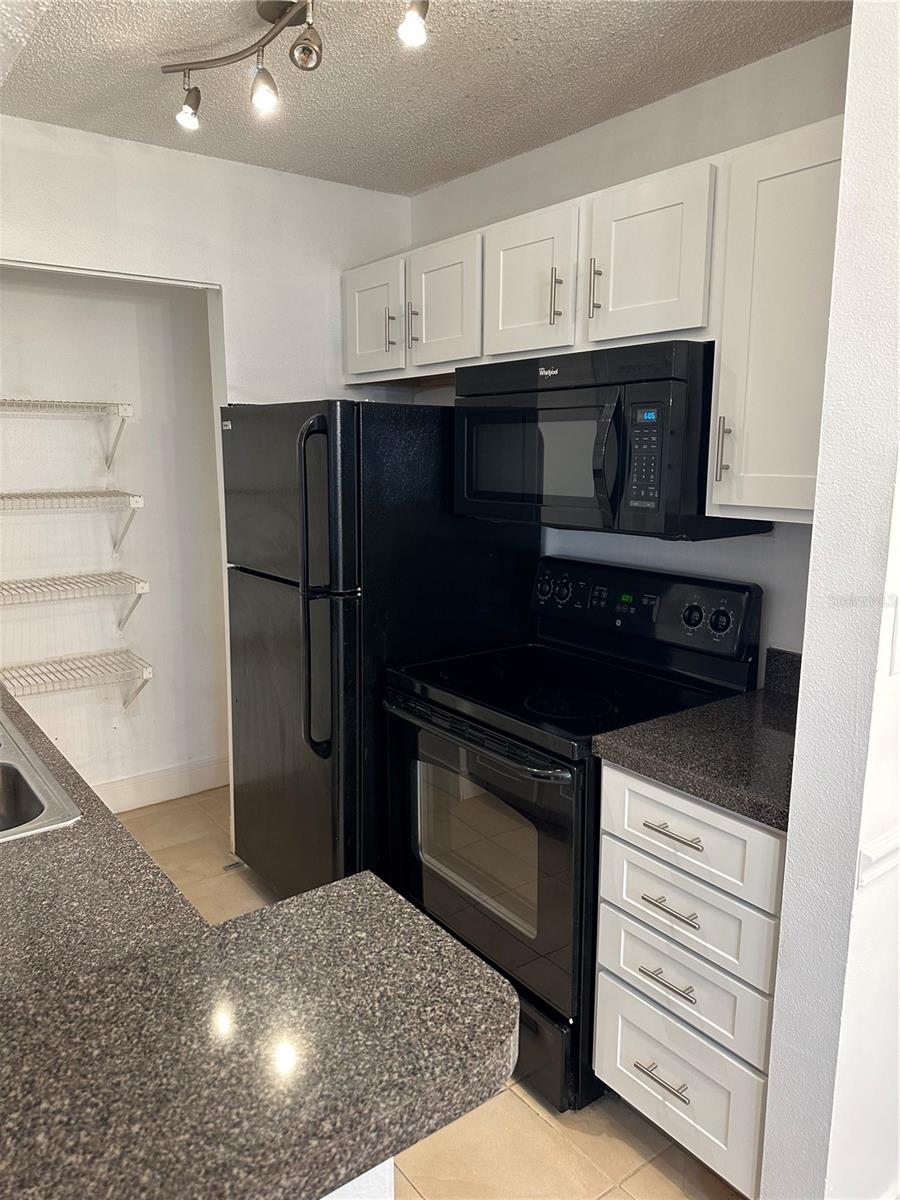 703 PARSONS LAKE PATH #106, BRANDON, FL, 33511