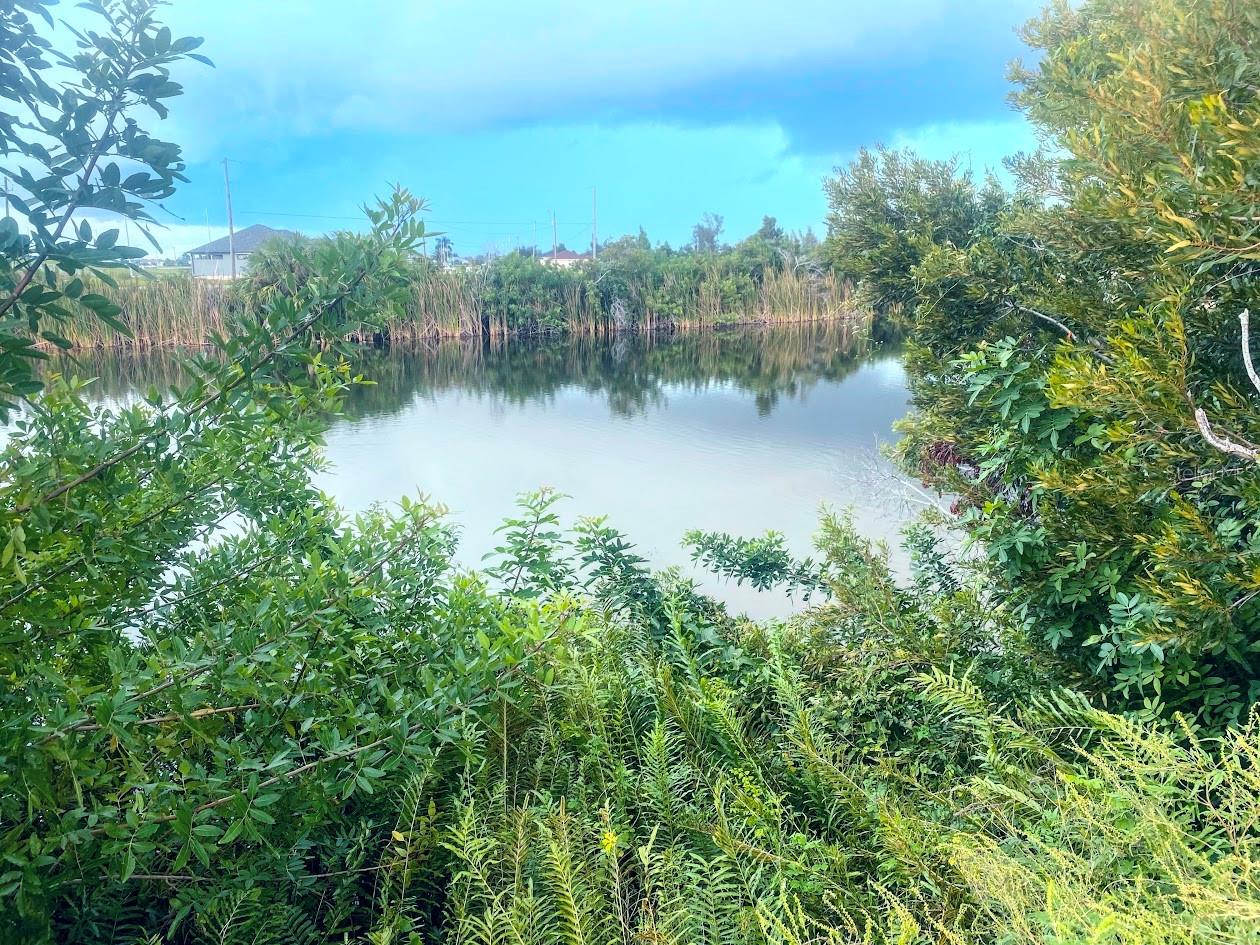 3117 NW 9TH ST, CAPE CORAL, FL, 33993