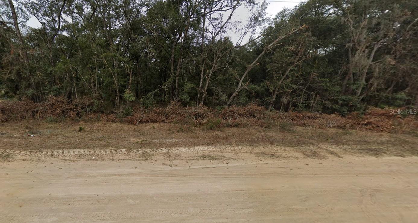 713 BRETT AVE, INTERLACHEN, FL, 32148