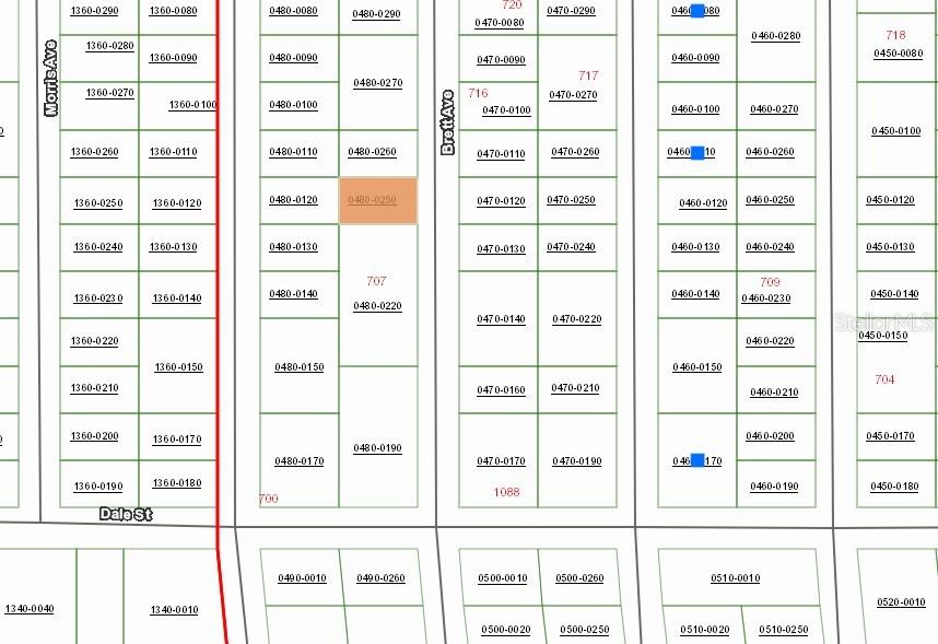 713 BRETT AVE, INTERLACHEN, FL, 32148