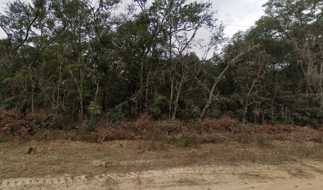 713 BRETT AVE, INTERLACHEN, FL, 32148