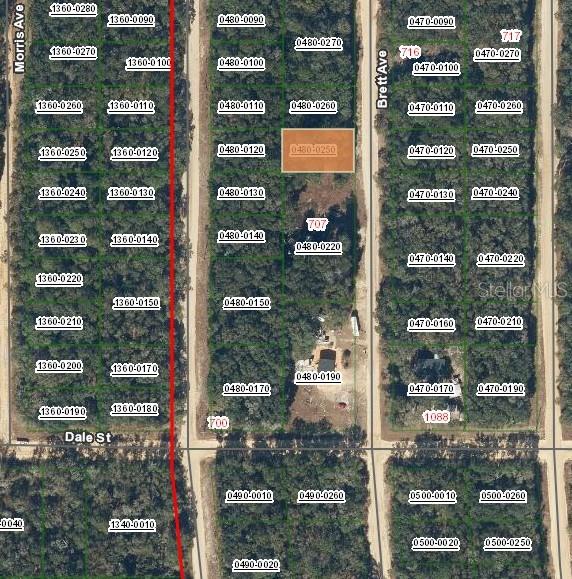 713 BRETT AVE, INTERLACHEN, FL, 32148