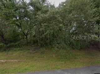 16593 SW 31ST CIRS, OCALA, FL, 34473