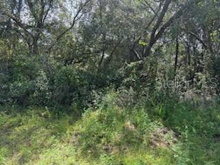 16593 SW 31ST CIRS, OCALA, FL, 34473