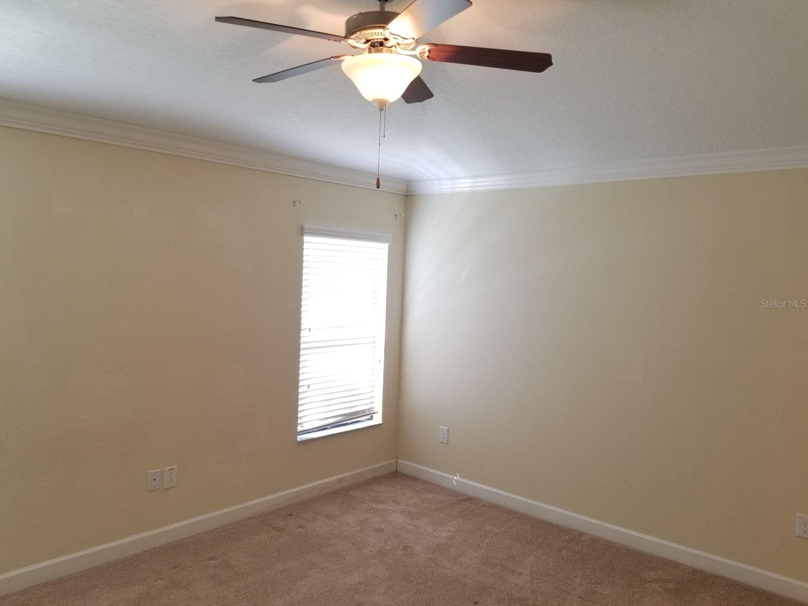 10004 NEWMINSTER LOOP, RUSKIN, FL, 33573