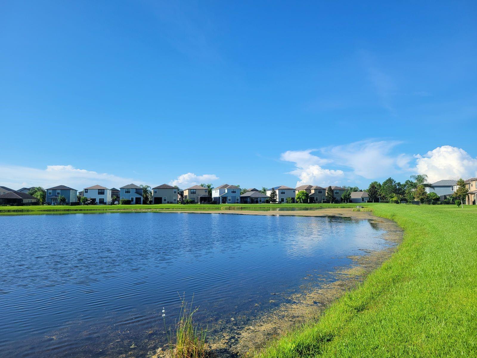 10004 NEWMINSTER LOOP, RUSKIN, FL, 33573