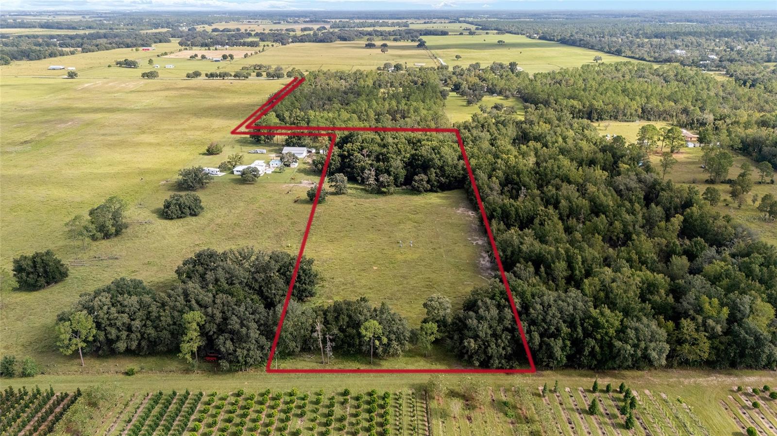 20490 NW 27TH ST, MORRISTON, FL, 32668