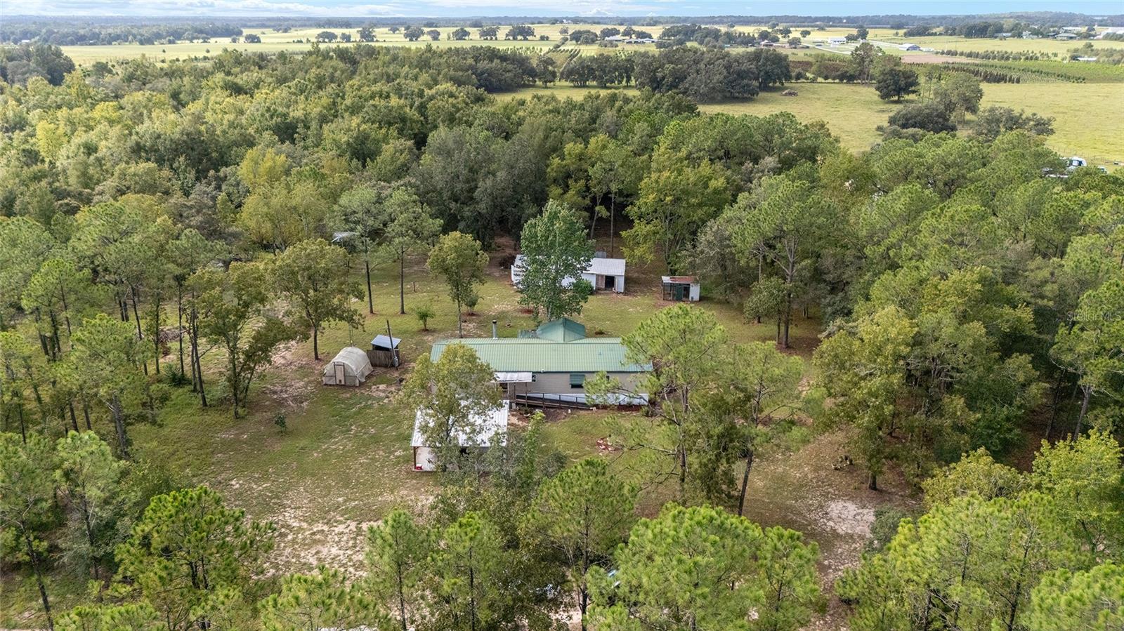 20490 NW 27TH ST, MORRISTON, FL, 32668